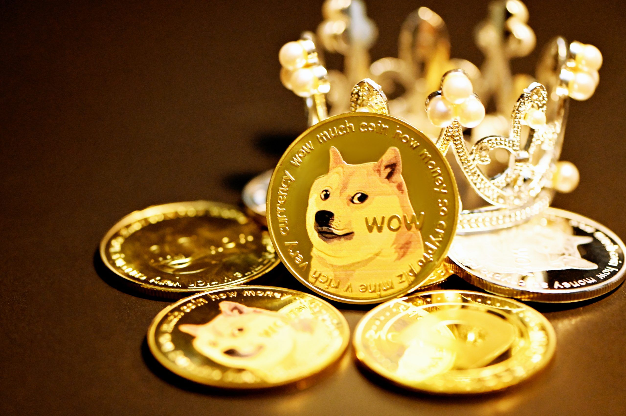 Dogecoin (DOGE) retakes the $0.31 level; Set for further gains