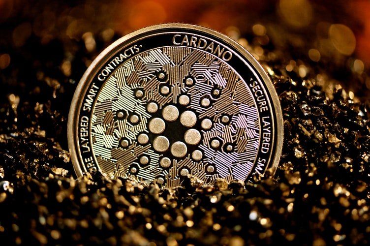 Almost two-thirds of pools ready for Cardano hard fork, target not met