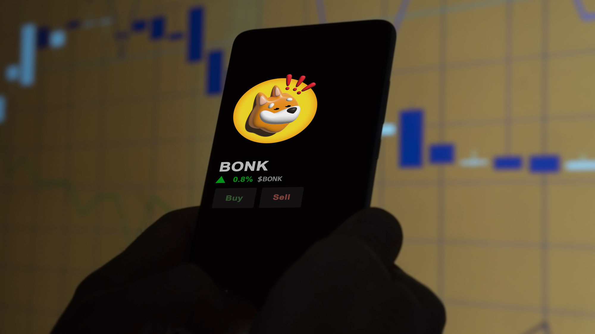 BONK Memecoin