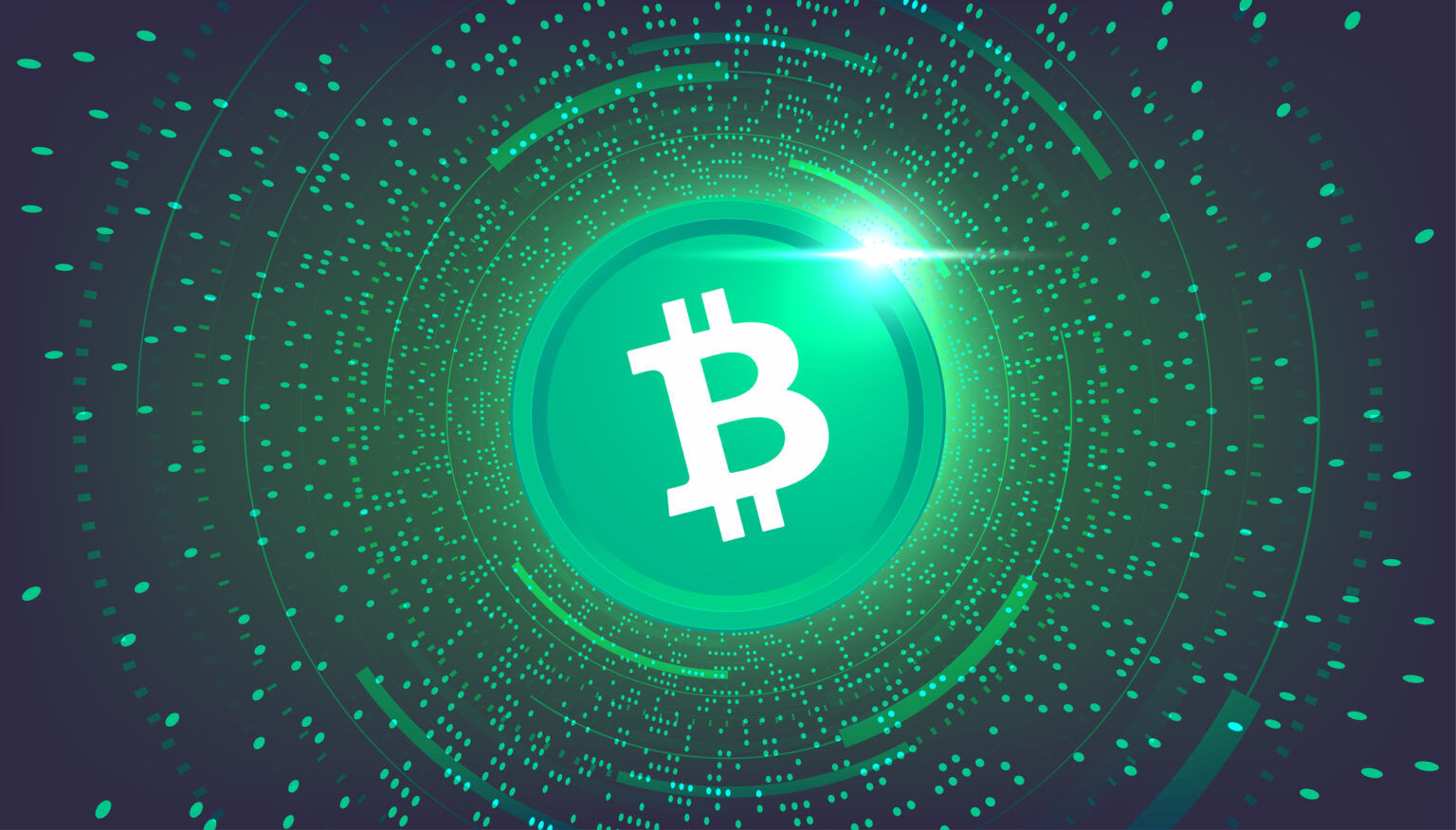 Bitcoin Cash