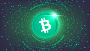 Bitcoin Cash