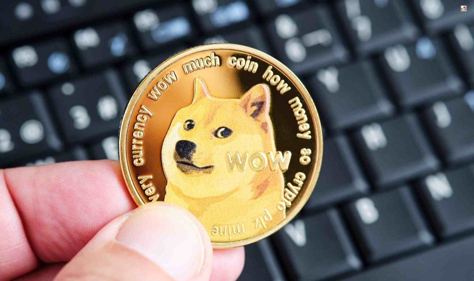 Dogecoin Price