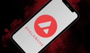 Avalanche Price
