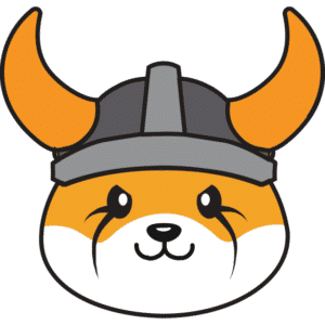 Floki Coin