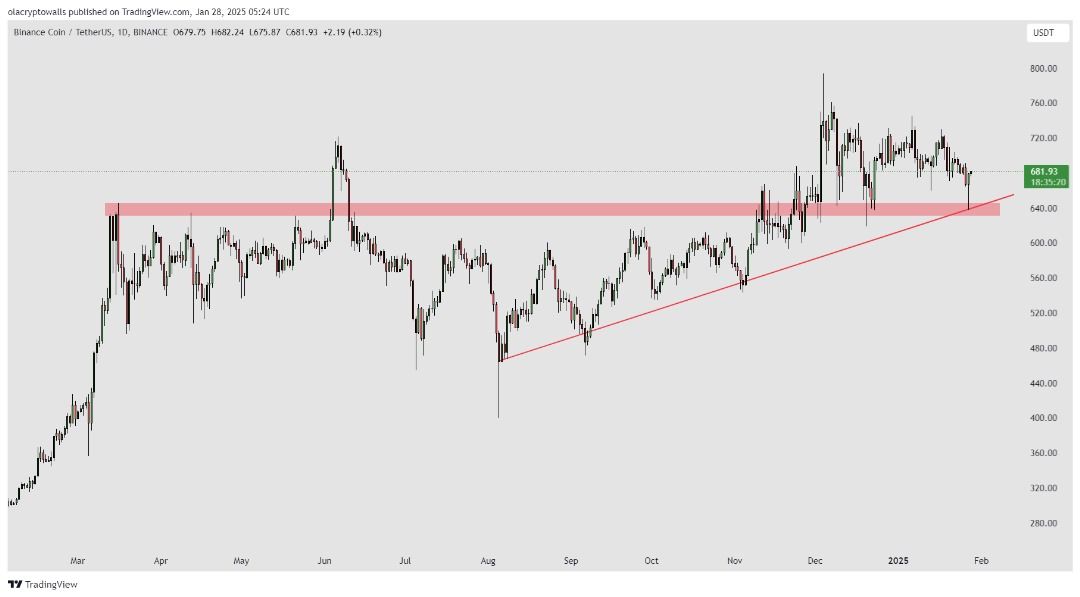 BINANCE COIN (BNBUSD) 1D 28.01.2025 price analysis