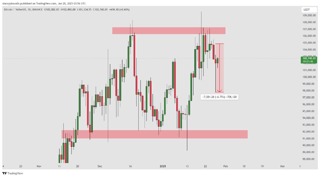 BITCOIN (BTCUSD) 1D 28.01.2025 price analysis