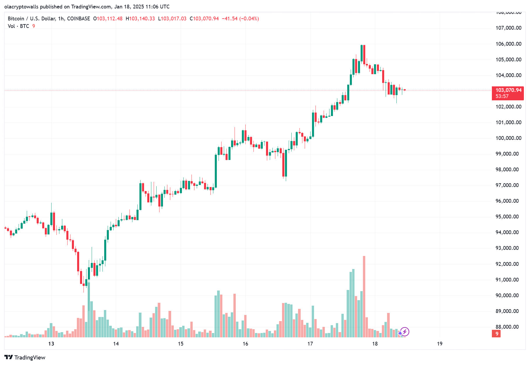 BTC USD 1hr chart 18.01.2025