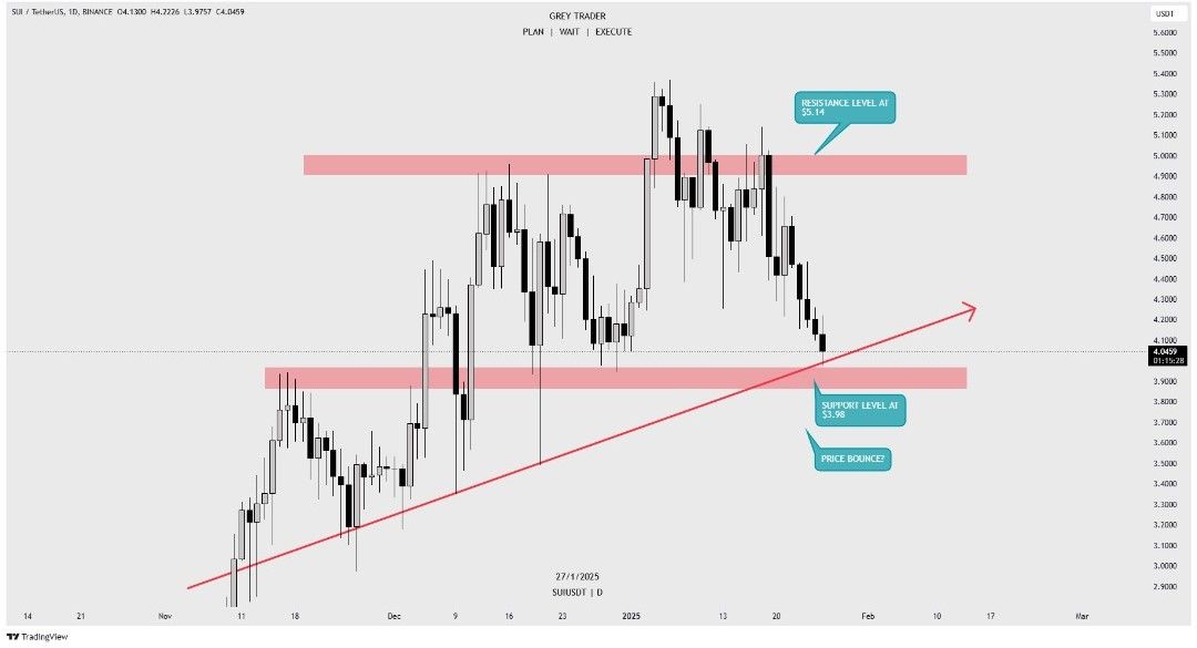 SUIUSDT 1D TF. 27.01.2025