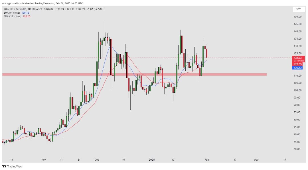 LITECOIN (LTC) 1D 01.02.2025