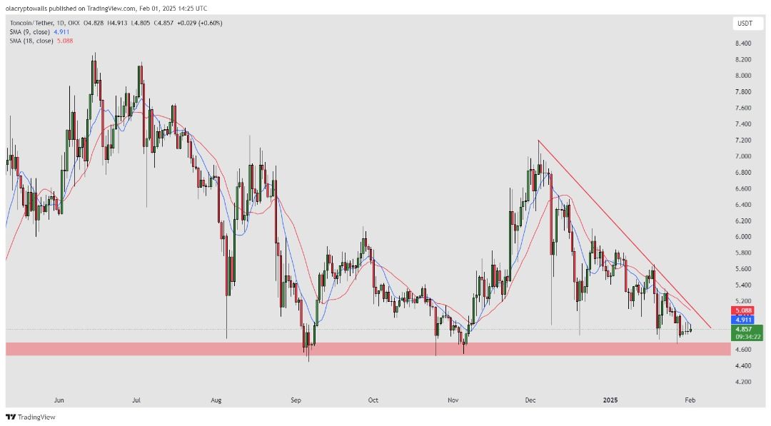 TONCOIN (TON) 1D 01.02.2025 Prediction