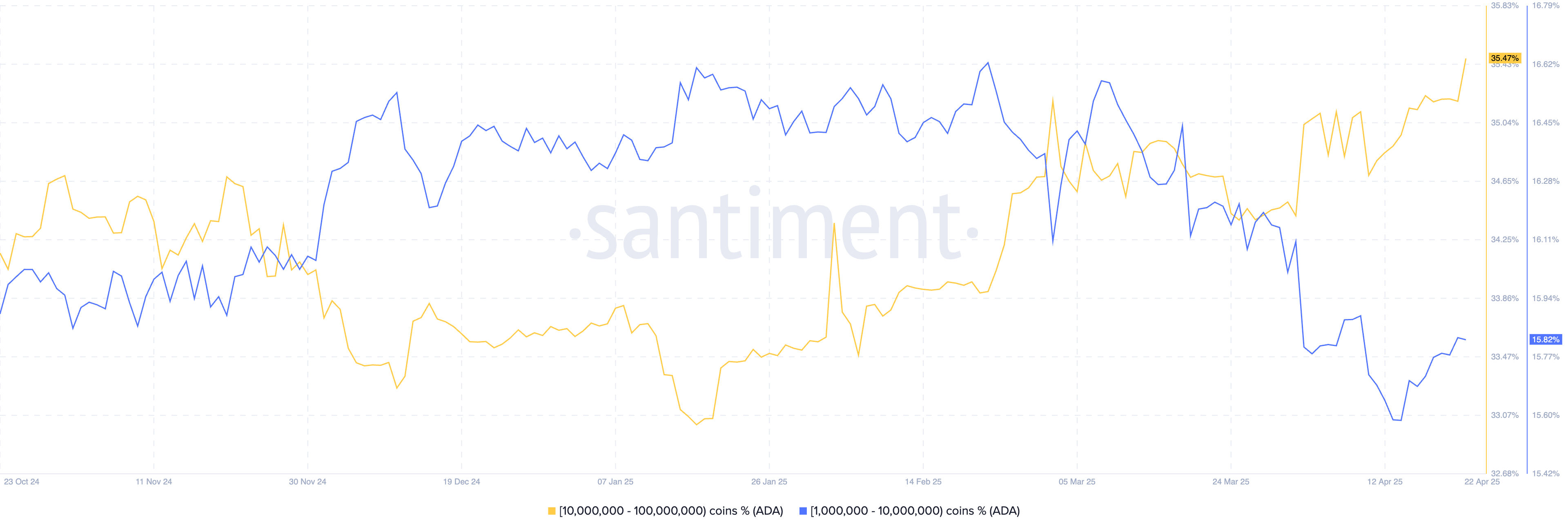 Cardano whale activity