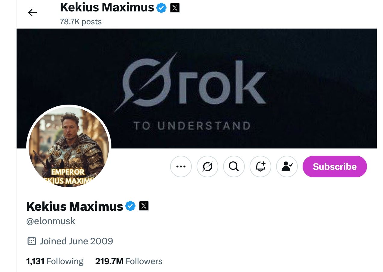 Elon Musk page