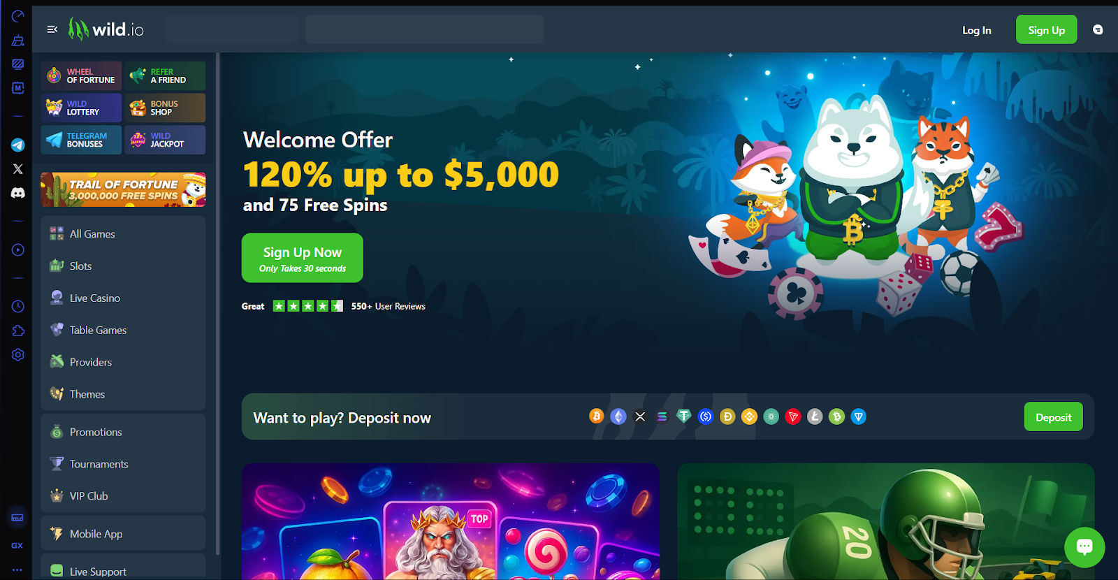 Homepage of Wild.io Ethereum casino site