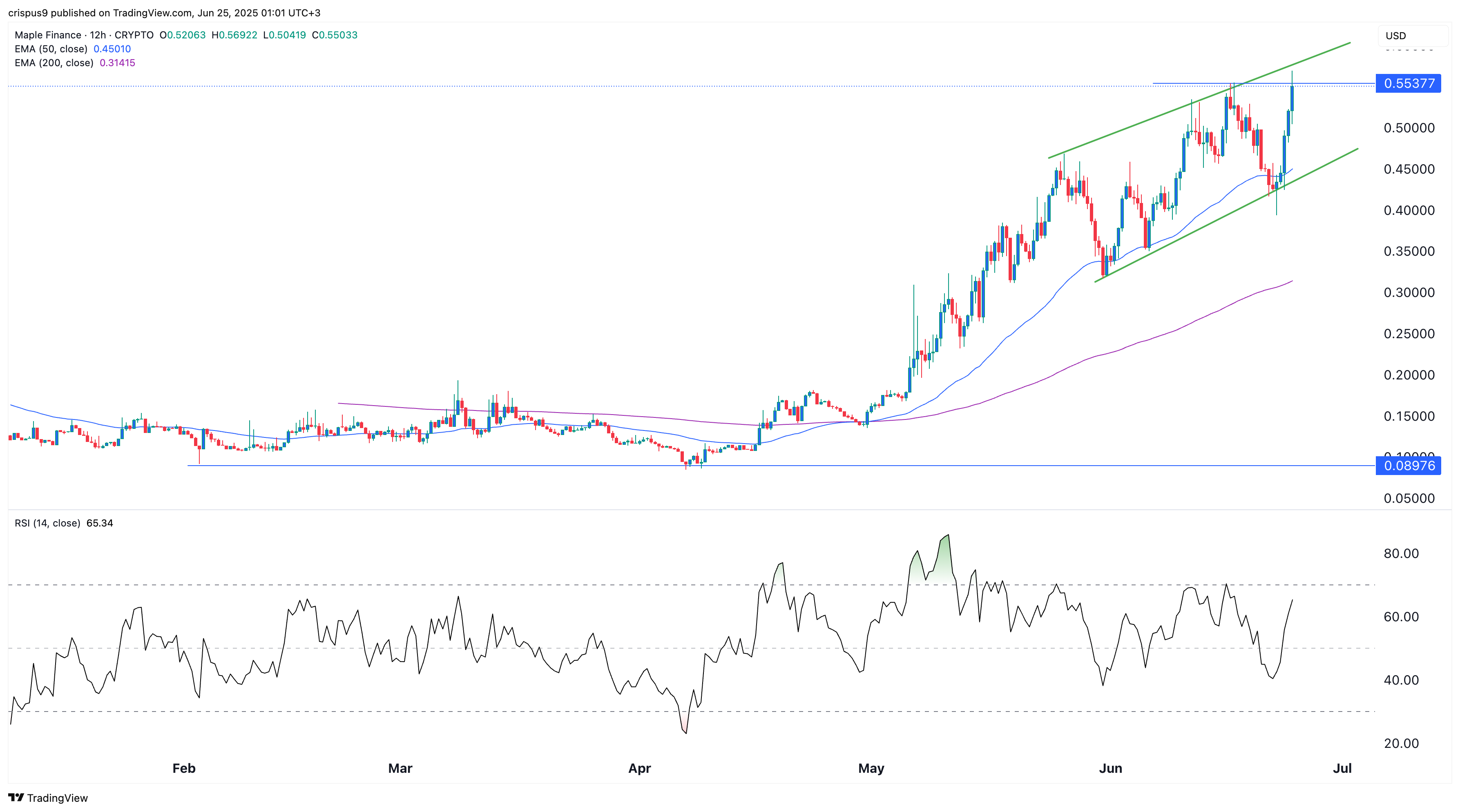 Maple Finance is one of the top crypto to buy