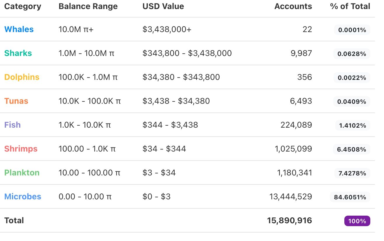 Pi Network token holders