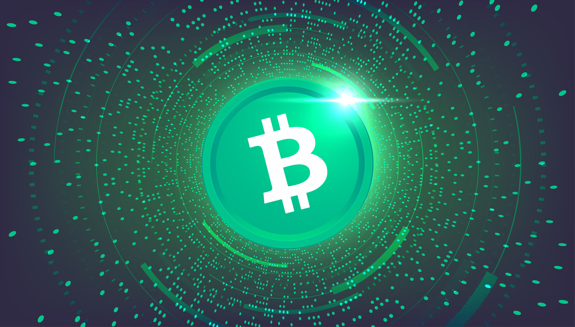Bitcoin Cash