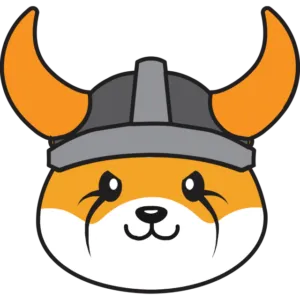 Floki Coin