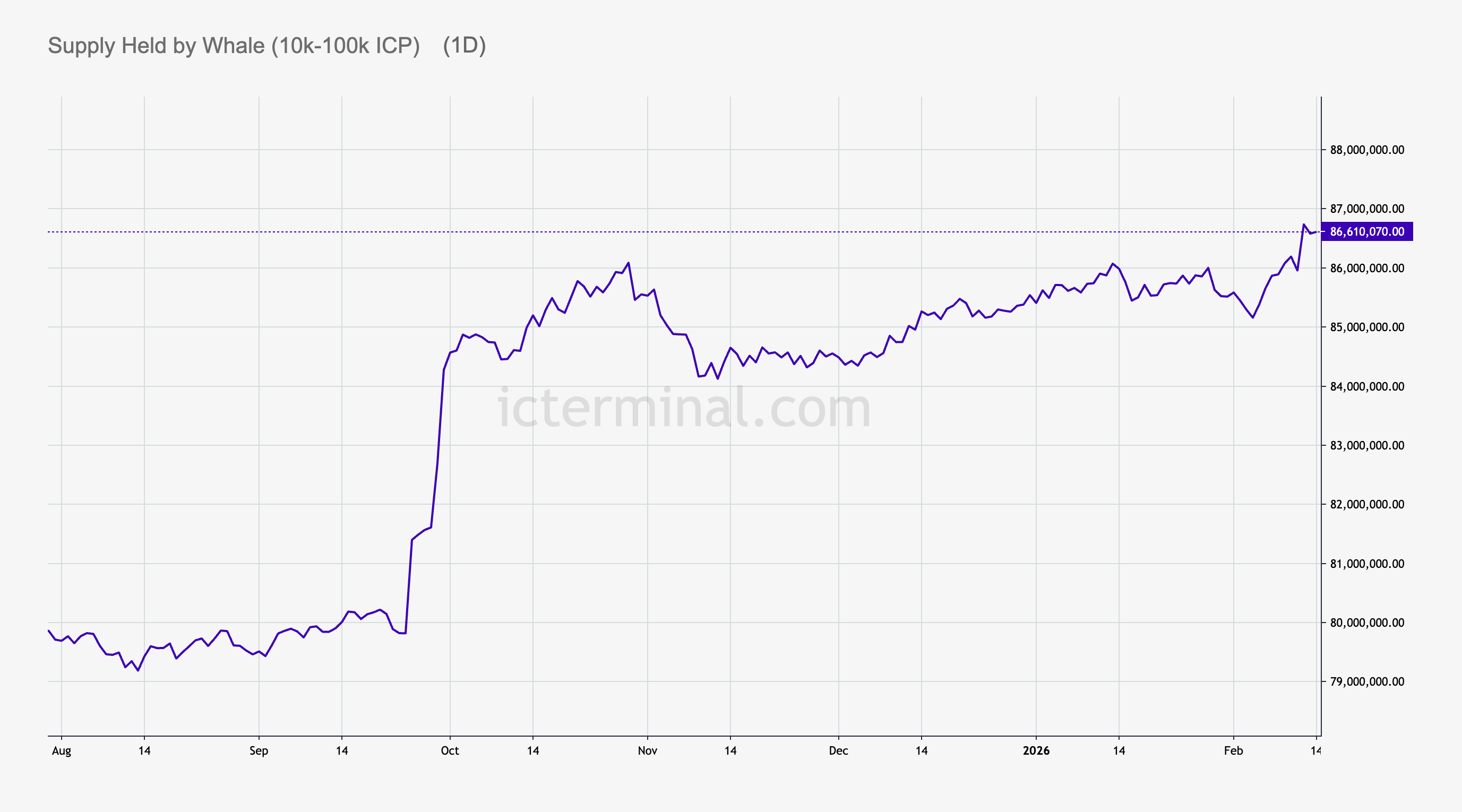 ICP whale holdings
