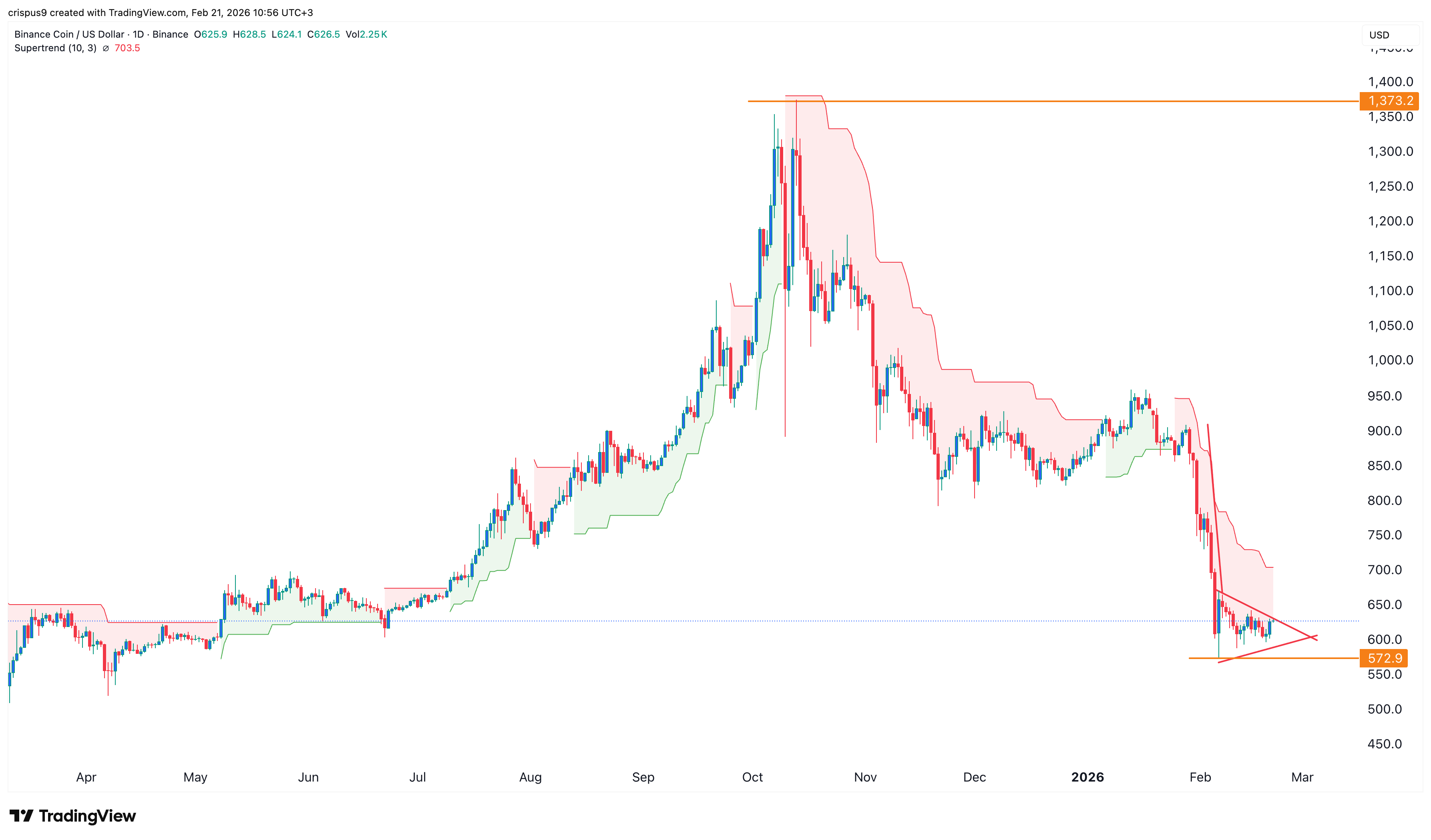 binance coin