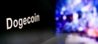 Ripple CEO Says That Dogecoin Is Not Good For The Crypto Space