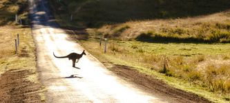 Australian Regulator Approves Bitcoin And Ethereum ETFs