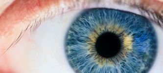 New technology scans people’s eyes in exchange for cryptocurrency