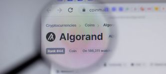 Algorand price prediction as ALGO transactions spike