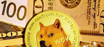 Original Doge NFT meme broken and auctioned off in 17 billion pieces