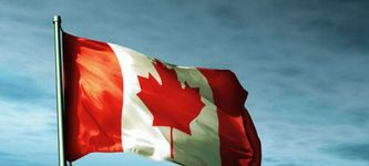 Canadian Insurtech Platform Livelii Seeks $1M