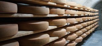 Italian farmers use cheese as loan collateral