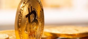 Top 2 Richest BTC Wallets Holds 2% of all Bitcoins