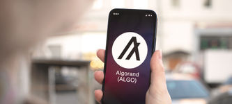 Algorand Risks Losing $35m in Exposure to Hodlnaut