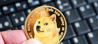 Kabosu is Dead: Here’s What to Know About the Dog Behind Dogecoin