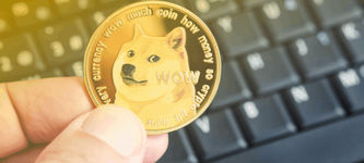 Dogecoin, dogwifhat, and Floki Lead Market Gainers as Bitcoin Hit $81K