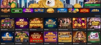 10 Best Dogecoin Casinos and Gambling Sites in 2024