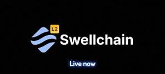 The Rise of Swellchain: What’s Driving Its Popularity?