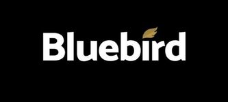 Bluebird Mining Ventures to Adopt Bitcoin Treasury Strategy