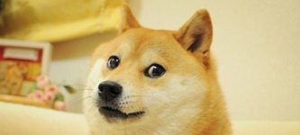 House of Doge And CleanCore To Launch $175M Dogecoin Treasury