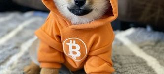 $DOG Memecoin Eyes Coinbase Listing After Binance Snub