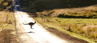 Australian Regulator Approves Bitcoin And Ethereum ETFs