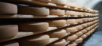 Italian farmers use cheese as loan collateral