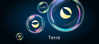 Terra Crisis: Community Votes on Burning 1.3 billion UST Tokens