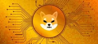 Shiba Inu’s Burn Rate Surge Sparks Price Rise Speculations: What’s Happening?