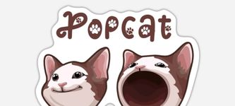 Here’s Why Popcat Price Can Drop Further – It’s Already Down 15% in 24 Hours