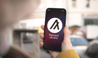 Algorand Price Jumps 18% After Google Quantum Paper Cites ALGO 32 Times