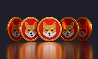 Shiba Inu Price Prediction As Burn Rate Skyrockets By 20x