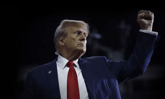 Top Reasons Why the Trump Coin Price is in a Freefall