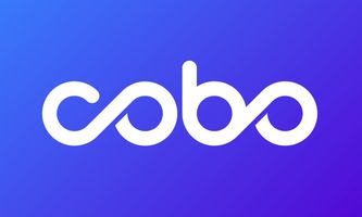 Cobo Launches AI Wallet for Autonomous Blockchain Transactions