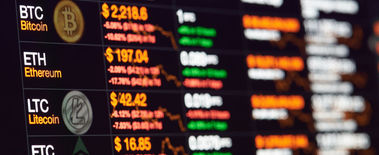 Popcat Soars to New ATH as Investors Eye Solciety