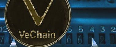 Popcat Soars to New ATH as Investors Eye Solciety